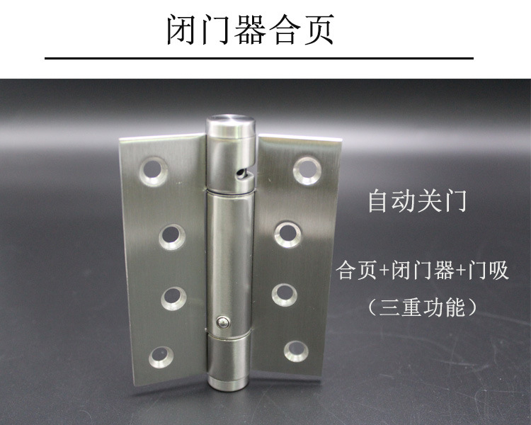榴莲视频网站榴莲视频黄色网站RCH-08 三维可调闭门器合页