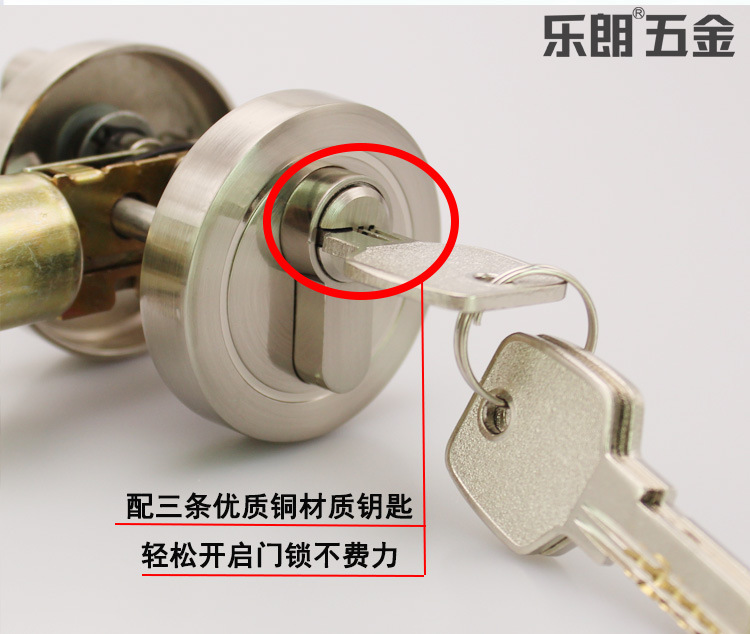 榴莲视频网站榴莲视频黄色网站RDL-600 锌合金闭锁 